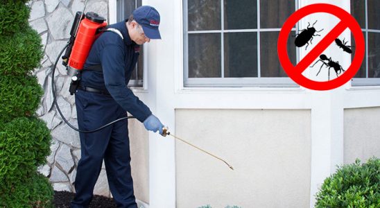 Germiyan Dezenfeksiyon böcek ilaçlama ve haşere kontrolü — ilaclama-tr.com